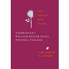 Var Hemlig Och Gläds : Vandringar I William Butler Yeats Poetiska Världar