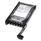 Dell 400-19731 300GB