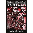 Teenage Mutant Ninja Turtles: Jakten På Splinter