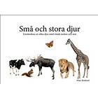 Små Och Stora Djur