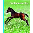 Nu Kommer Fölet