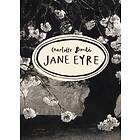 Jane Eyre (vintage Classics Bronte Series)