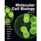 Molecular Cell Biology