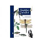 Smådjur I Sjö Och Å