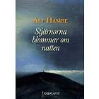 Stjärnorna Blommar Om Natten