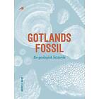 Gotlands Fossil – En Geologisk Historia