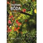 Ekopark Böda. En Magisk Skog.