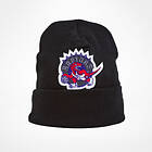 Mitchell & Ness Toronto Raptors Chenille Logo Mössa