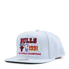 Mitchell & Ness 1991 Bulls Champs Snapback