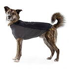 Ruffwear Cloud Chaser Hundjacka (XXS)