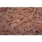 Haribo Spaghetti Cola 1.5kg