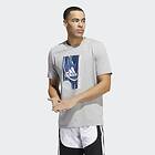 Adidas Badge of Sport Courts Graphic Tee (Miesten)