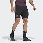 Adidas Germany Tiro 23 Pro Shorts (Homme)