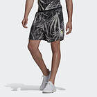 Adidas Designed For Training Heat.rdy Graphics Hiit Shorts (Herr)