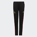 Adidas Salah Pants (Jr)