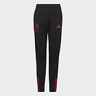 Adidas Belgium Tiro 23 Training Pants (Barn)