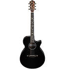 Ibanez AEG550