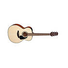 Takamine GLN12E-NS