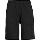 Icebreaker Shifter Shorts (Herr)