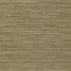 Harlequin Oralia HETH111462