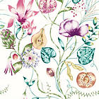 Harlequin Quintessence HZAP111775