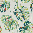 Harlequin Kelapa HZAP111753