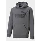 Puma Ess Big Logo Hoodie (Unisexe)