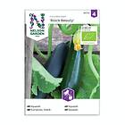 Nelson Garden Frö Squash Black Beauty Organic