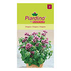 Piardino Grönsaksfrö Oregano