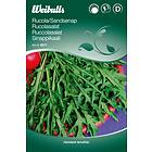 Weibulls Grönsaksfrö Frö Ruccola Sandsenap Grön