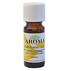 Aroma Eterisk Olja Eukalyptus Eko 10ml