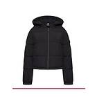 Dare 2B Lavishly Hooded Padded Jacket (Women's)