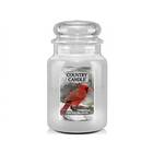 Country Candle Large Jar 2 Wick Duftlys First Fallen Snow