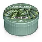 Country Candle Daylight Duftlys Spiral Aloe