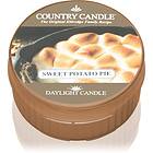 Country Candle Daylight Bougies Parfumées Sweet Potato Pie