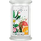 Kringle Candle Large Classic Jar 2 Wick Doftljus Essentials