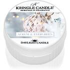 Kringle Candle Daylight Aurum & Evergreen