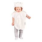 Cape Toddler Isbjörn
