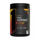 Rule One Pre-Amino Energy 0,25kg