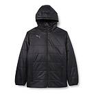 Puma TeamLIGA Padded Jacket (Herr)