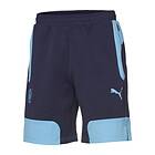 Puma Manchester City FC Evostripe Training Shorts (Herr)