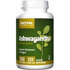 Jarrow Formulas Ashwagandha 300mg 120 Kapselit