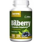 Jarrow Formulas Bilberry + Grapeskin Polyphenols 120 Capsules