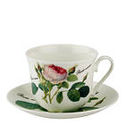 Kirkham Redoute Roses Tasse Med Fat 45cl