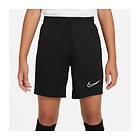 Nike Dry Academy 21 Training Shorts (Jr)