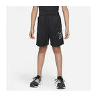 Nike Dri-FIT Training Shorts (Jr)