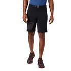 Columbia Titan Pass Shorts (Men's)