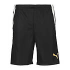 Puma TeamLIGA 2 Shorts (Herr)