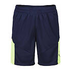 Puma individualFINAL Shorts (Herr)