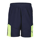 Puma individualFINAL Shorts (Jr)